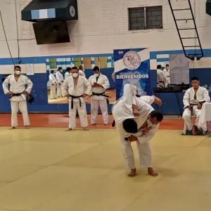 preparacion para competicion judo