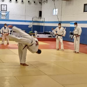 entrenamiento de equipo judo